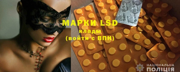стафф Коряжма