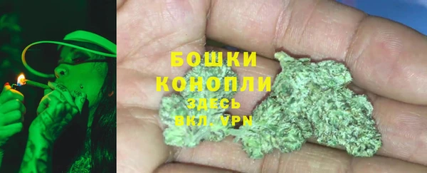 стафф Коряжма