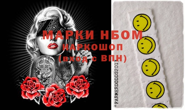 стафф Коряжма