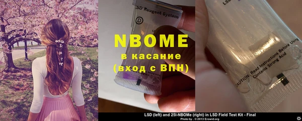 стафф Коряжма