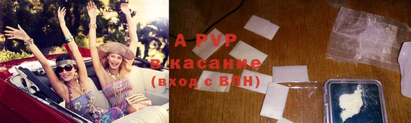 стафф Коряжма