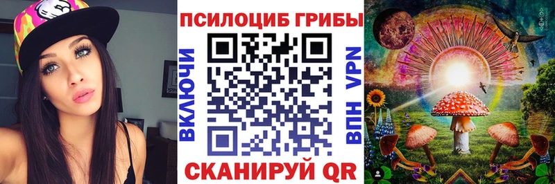 omg ССЫЛКА  купить закладку  Северск  Псилоцибиновые грибы ЛСД 